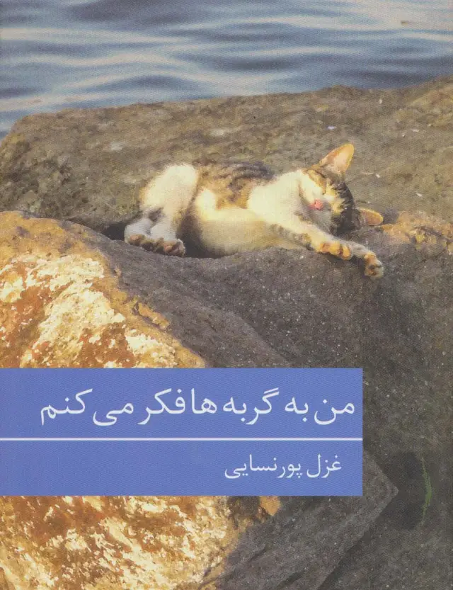 جلد کتاب من به گربه ها فکر می کنم