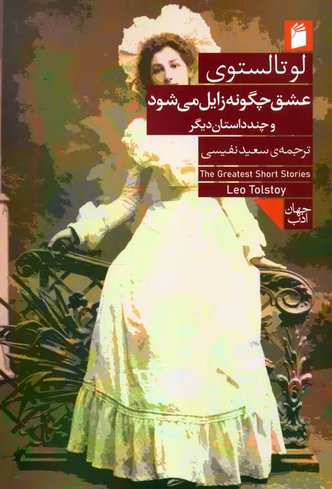 جلد کتاب عشق چگونه زایل می شود و چند داستان دیگر
