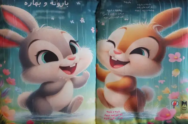 جلد کتاب بارونه و بهاره (کتاب بالشتی)