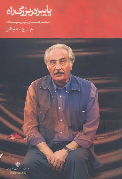 جلد کتاب پاییز در بزرگ راه (شعر ایران 8)