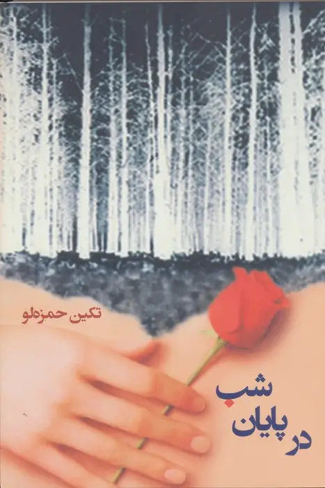 جلد کتاب در پایان شب