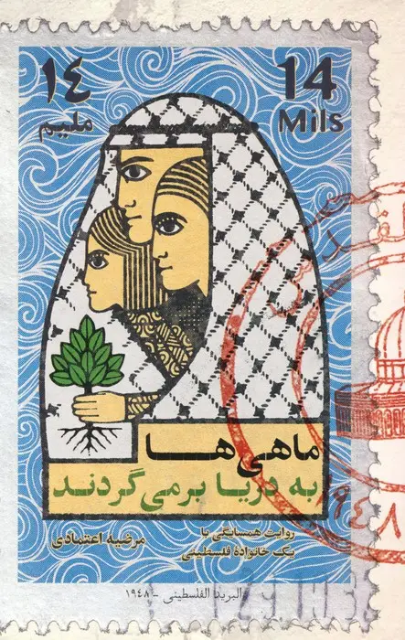 جلد کتاب ماهی ها به دریا بر می گردند
