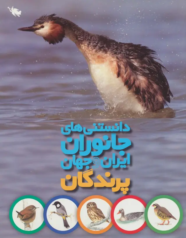 جلد کتاب دانستنی های جانوران ایران و جهان (پرندگان)،(گلاسه)