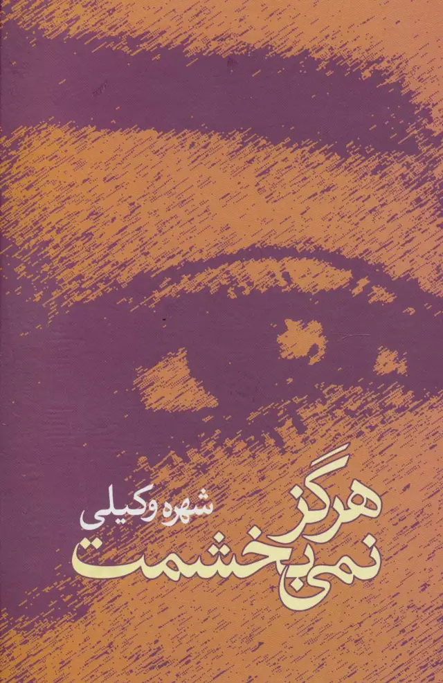 جلد کتاب هرگز نمی بخشمت