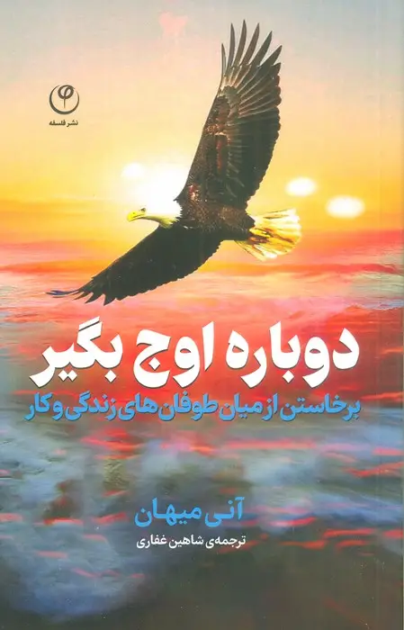 جلد کتاب دوباره اوج بگیر (برخاستن از میان طوفان های زندگی و کار)