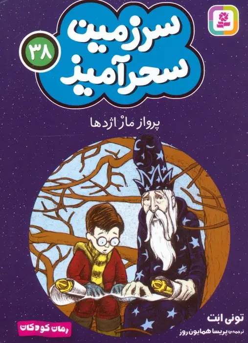 جلد کتاب سرزمین سحرآمیز 38 (پرواز مار اژدها)