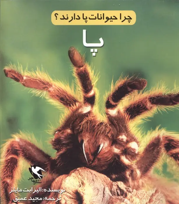 جلد کتاب چرا حیوانات پا دارند؟ (پا)،(گلاسه)