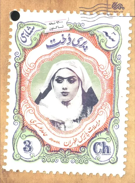 جلد کتاب پری دخت (مراسلات پاریس طهران)