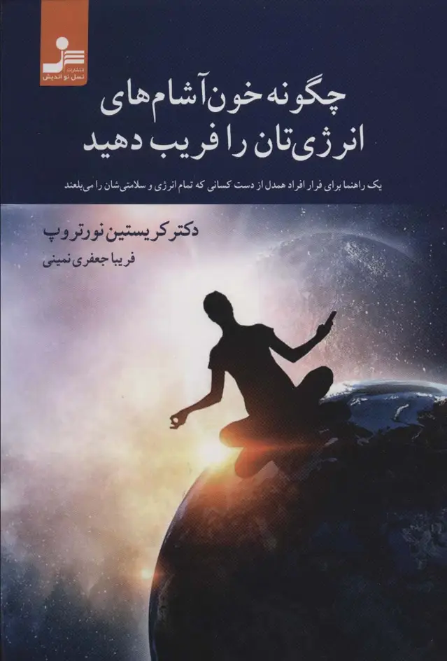جلد کتاب چگونه خون آشام های انرژی تان را فریب دهید