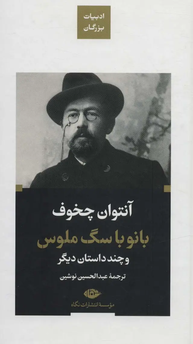 جلد کتاب بانو با سگ ملوس و چند داستان دیگر (ادبیات بزرگان)