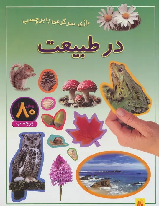 جلد کتاب در طبیعت (بازی،سرگرمی با برچسب)،(گلاسه)