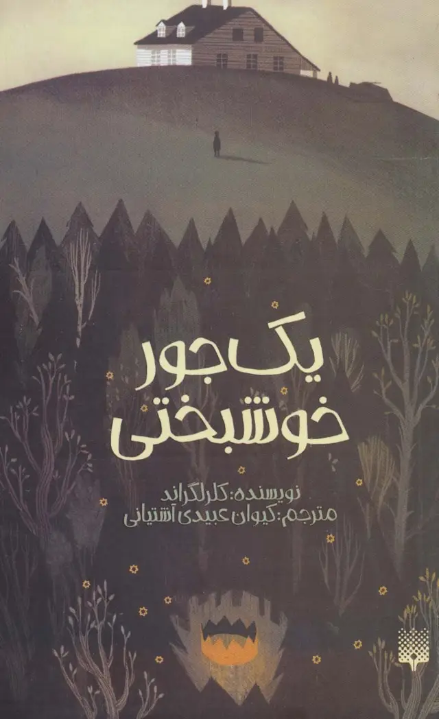 جلد کتاب یک جور خوشبختی