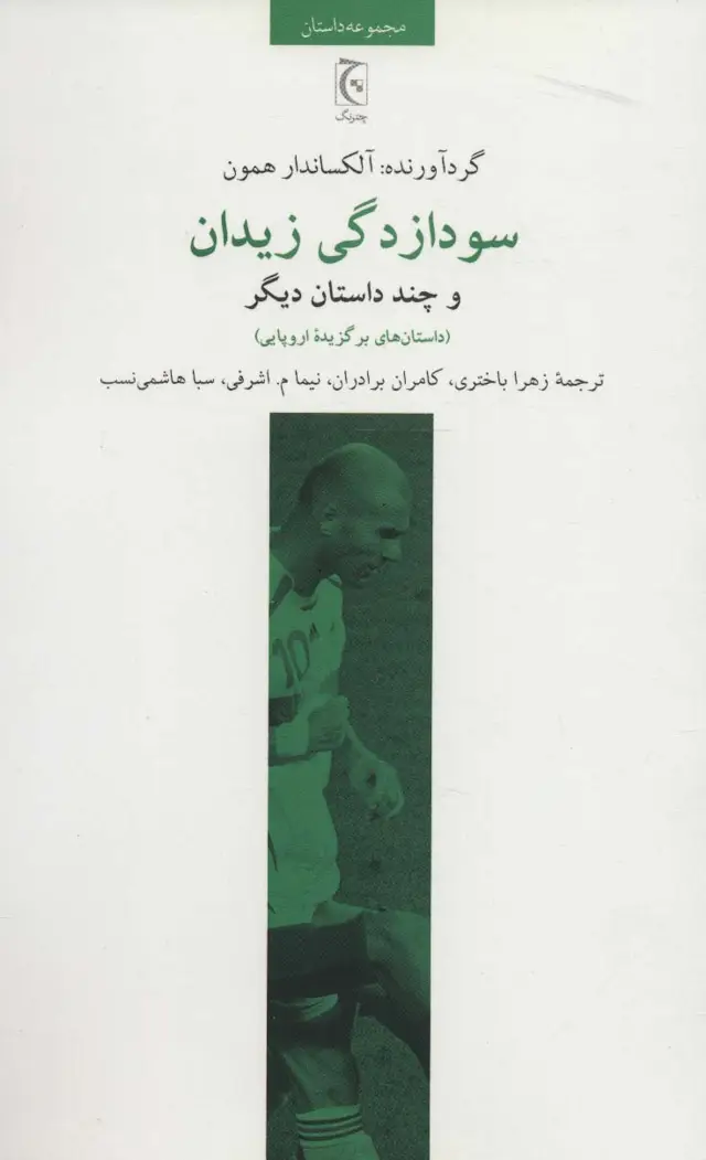 جلد کتاب سودازدگی زیدان و چند داستان دیگر (داستان های برگزیده اروپایی)