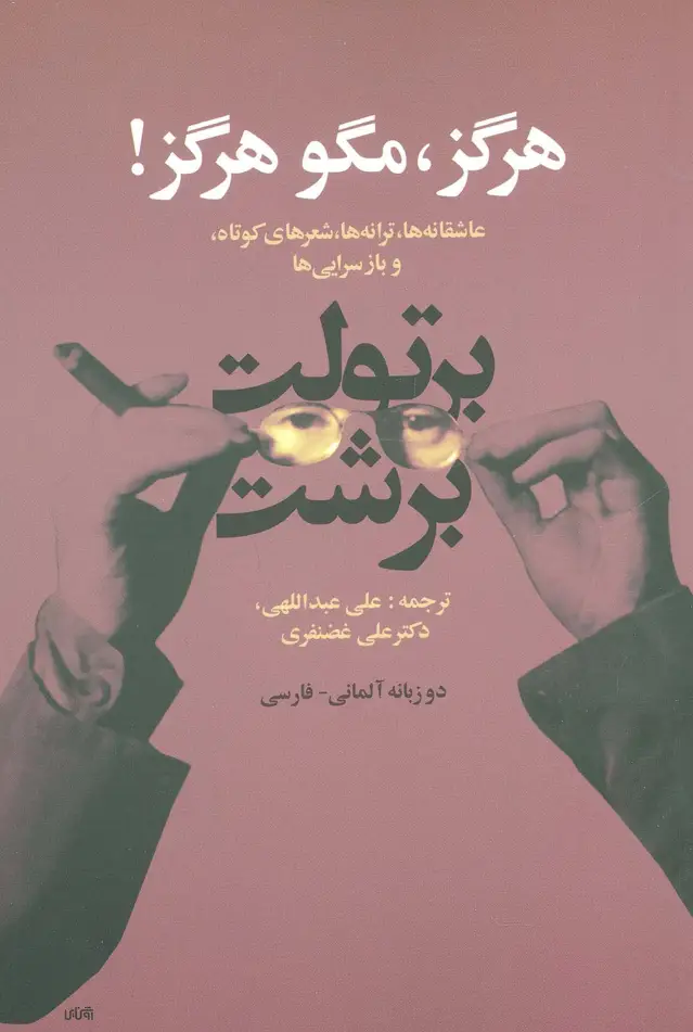 جلد کتاب هرگز،مگو هرگز! (عاشقانه ها،ترانه ها،شعرهای کوتاه و بازسرایی ها)،(2زبانه)