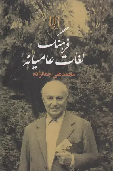 جلد کتاب فرهنگ لغات عامیانه