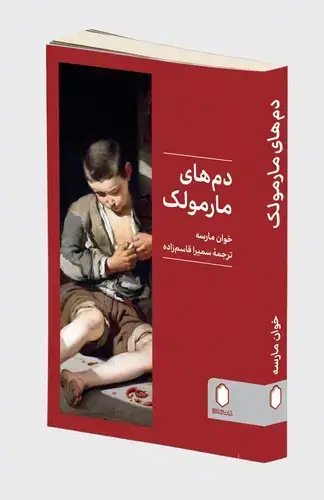 جلد کتاب دم های مارمولک