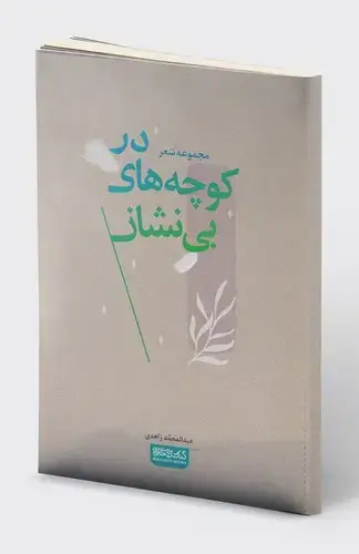 جلد کتاب در کوچه های بی نشان