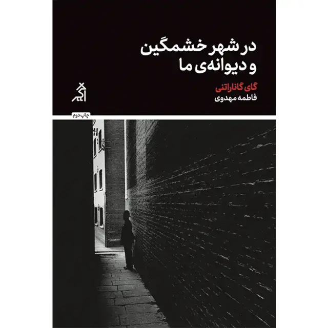 جلد کتاب در شهر خشمگین و دیوانه ی ما
