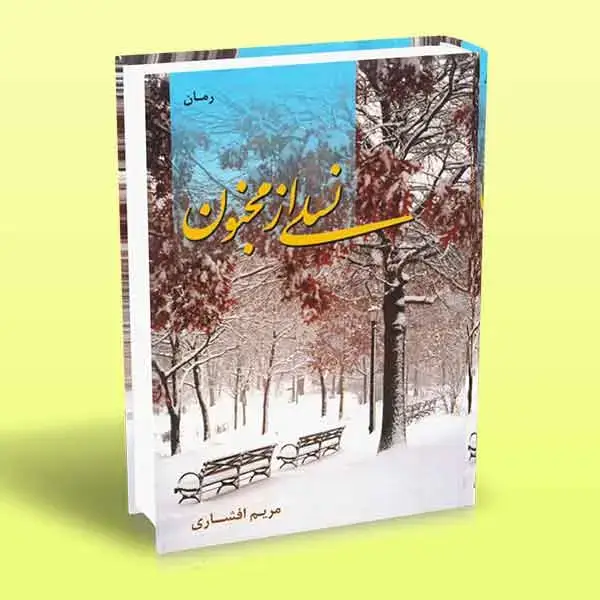 جلد کتاب کتاب رمان نسلی از مجنون