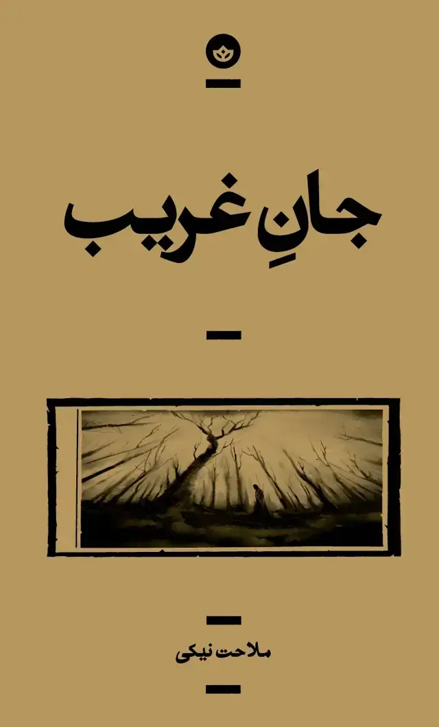 جلد کتاب جان غریب