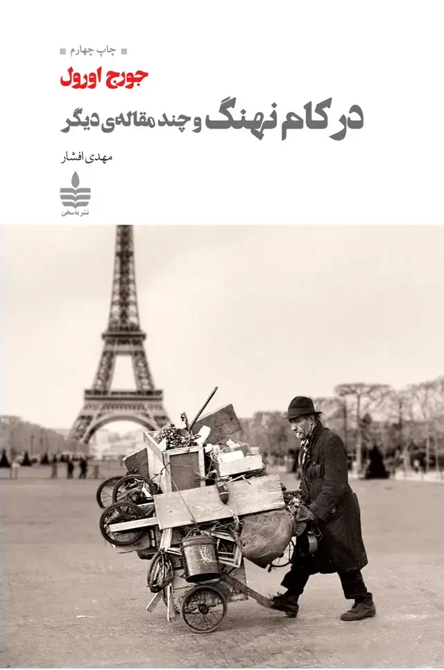 جلد کتاب در کام نهنگ و چند مقاله دیگر