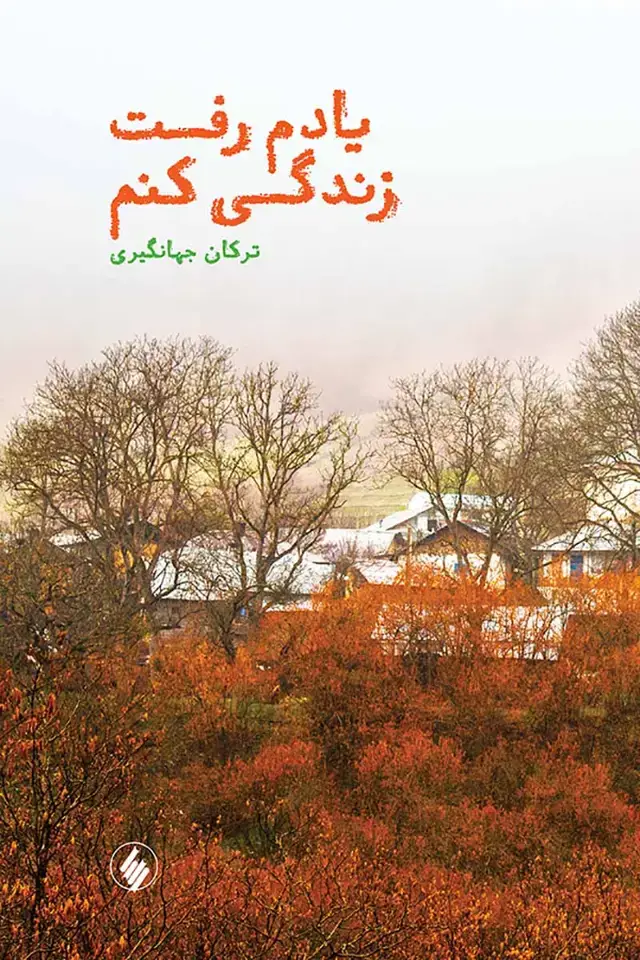 جلد کتاب یادم رفت زندگی کنم