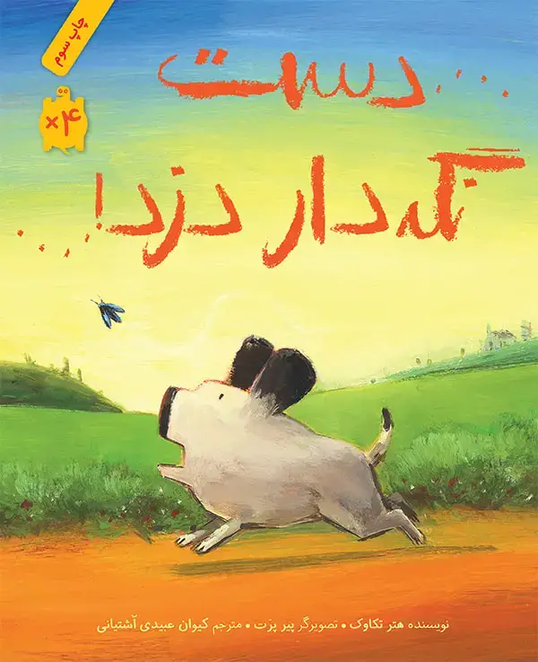 جلد کتاب دست نگه دار دزد!