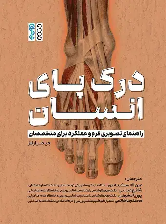 جلد کتاب درک پای انسان: راهنمای تصویری فرم و عملکرد برای متخصصان