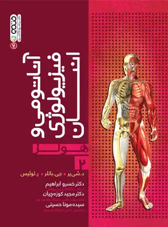 جلد کتاب اناتومی و فیزیولوژی انسان هولز جلد 2