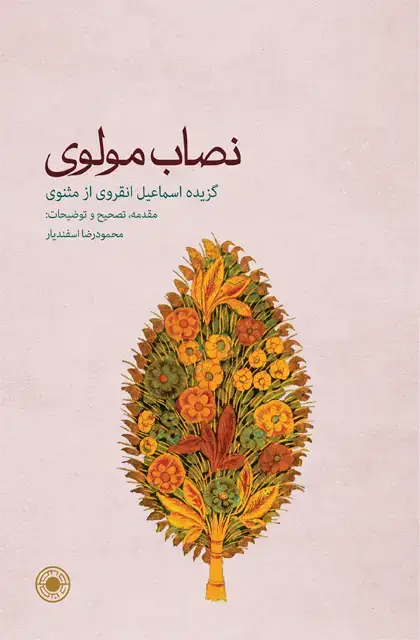جلد کتاب نصاب مولوی