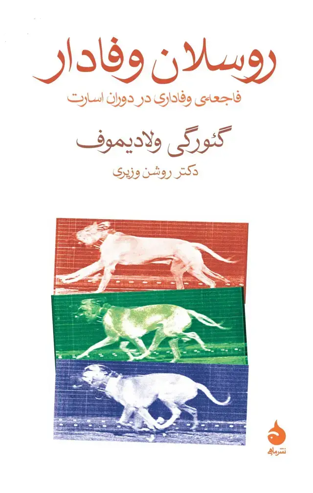 جلد کتاب روسلان وفادار