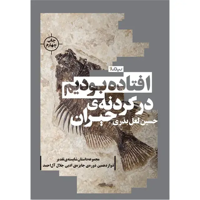 جلد کتاب افتاده بودیم در گردنه حیران