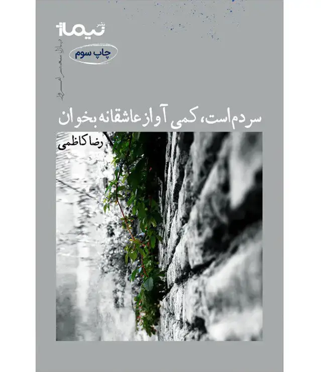 جلد کتاب سردم است کمی اواز عاشقانه بخوان