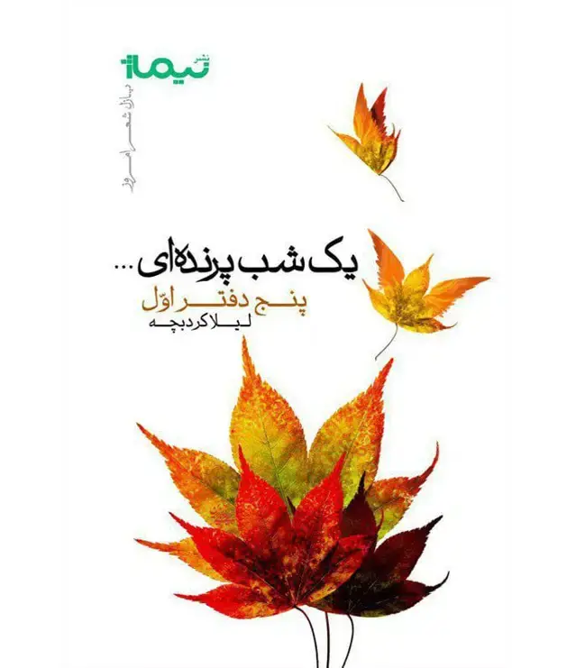 جلد کتاب یک شب پرنده ای…
