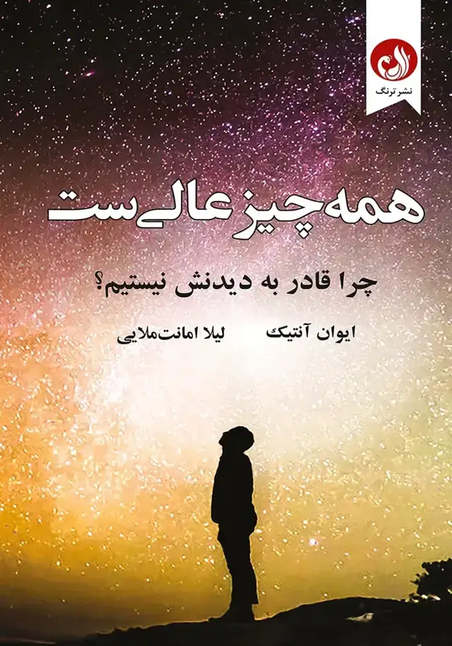جلد کتاب کتاب همه چیز عالی ست