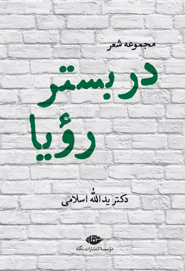 جلد کتاب در بستر رویا