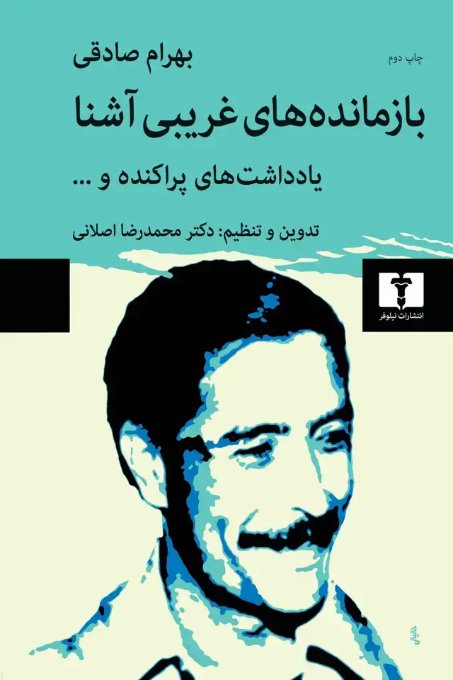جلد کتاب بازمانده های غریبی اشنا