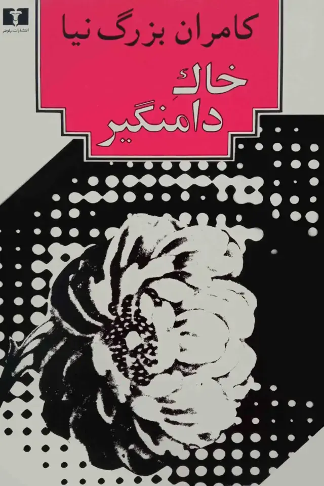 جلد کتاب خاک دامنگیر