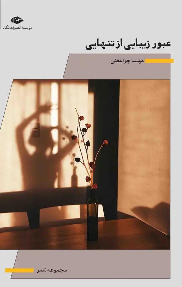جلد کتاب عبور زیبایی از تنهایی