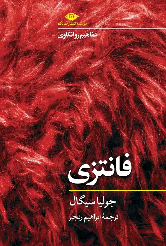 جلد کتاب مفاهیم روانکاوی: فانتزی