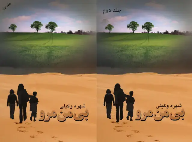 جلد کتاب بی من مرو(2جلدی)