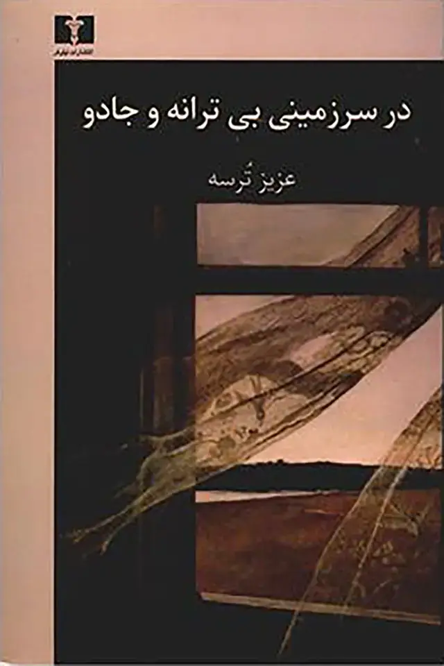 جلد کتاب در سرزمینی بی ترانه و جادو