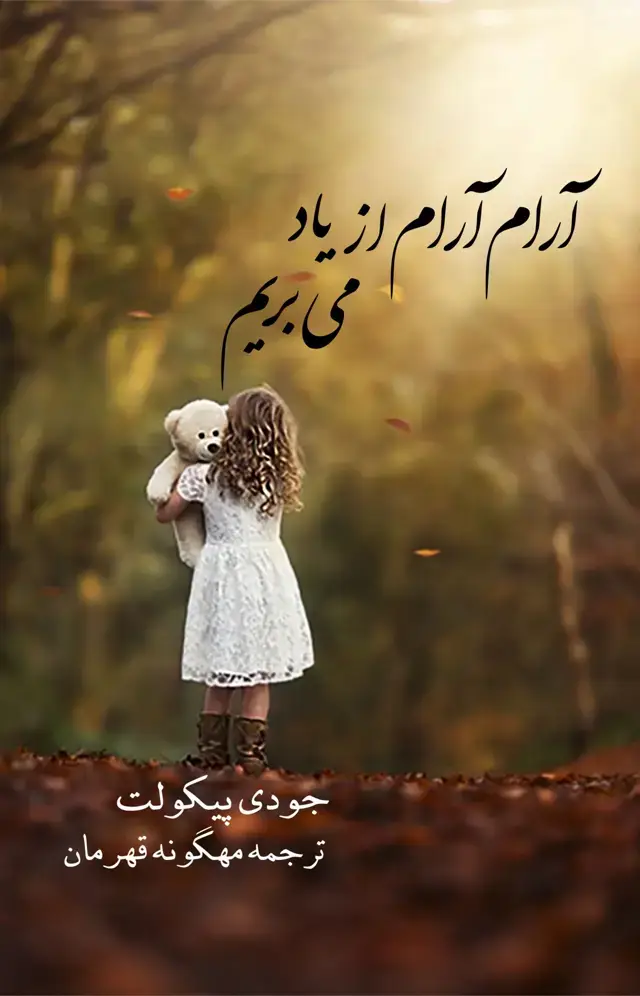 جلد کتاب ارام ارام از یاد می بریم