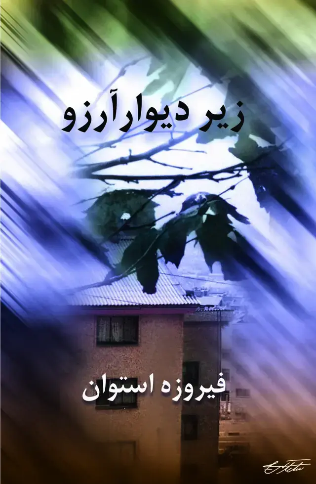 جلد کتاب زیر دیوار ارزو