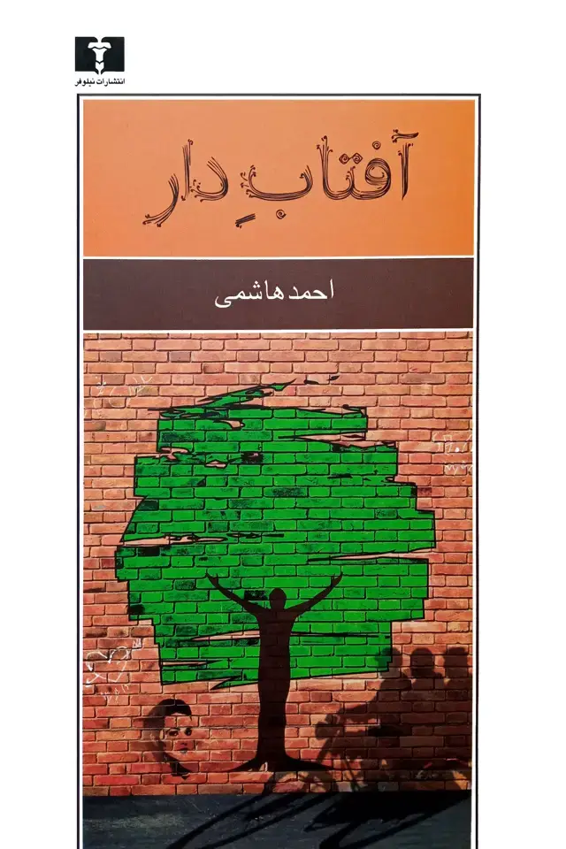 جلد کتاب افتابِ دار