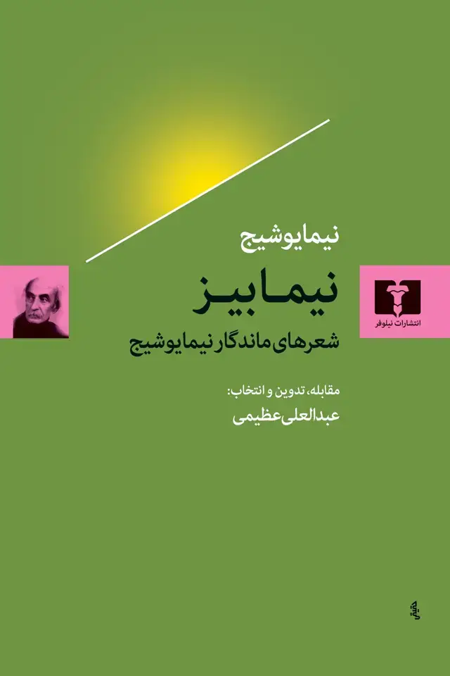 جلد کتاب نیمابیز