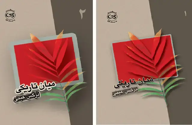 جلد کتاب میان تاریکی (دوجلدی)