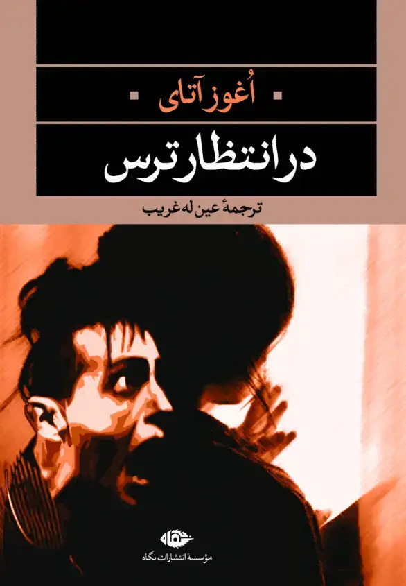 جلد کتاب در انتظار ترس