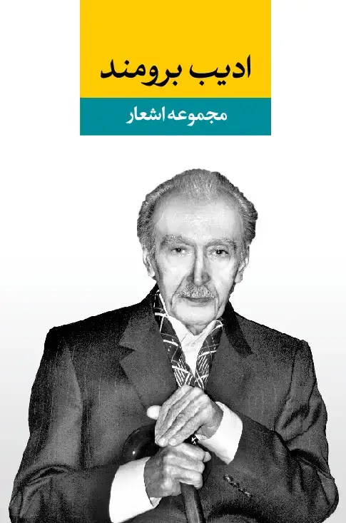 جلد کتاب مجموعه اشعار ادیب برومند