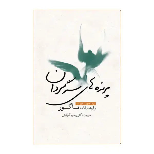 جلد کتاب پرنده های سرگردان